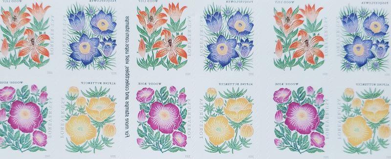 1st Class Stamps Mountain Flora <span class="cc-gallery-credit"></span>